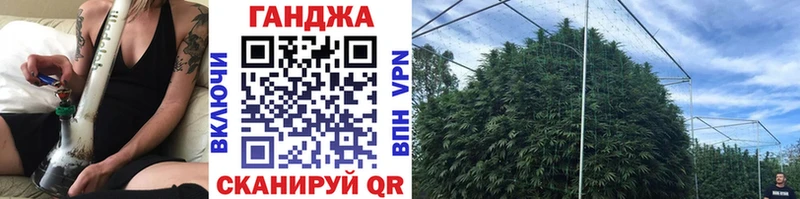 где купить наркотик Сокол Конопля тримм